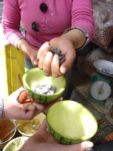 DSC03296.JPG